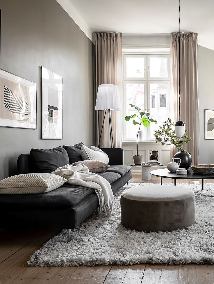 Stylish living room with warm gray walls, black sectional sofa, light wood floors, beige curtains, shaggy white rug, and modern decor accents including a round ottoman, coffee table, and potted plants.