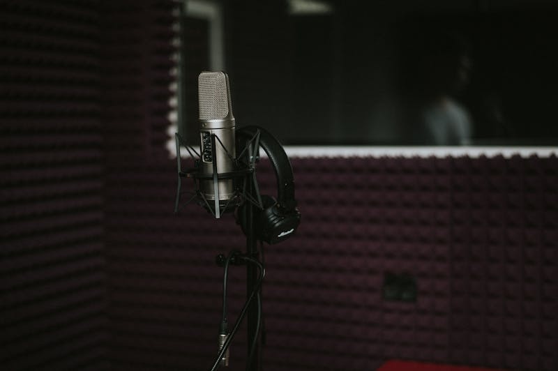 Professional condenser microphone in a home recording studio with acoustic foam, similar to Hozier's setup